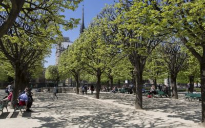 Notre-Dame : découvrez à quoi ressemblera le nouveau parvis